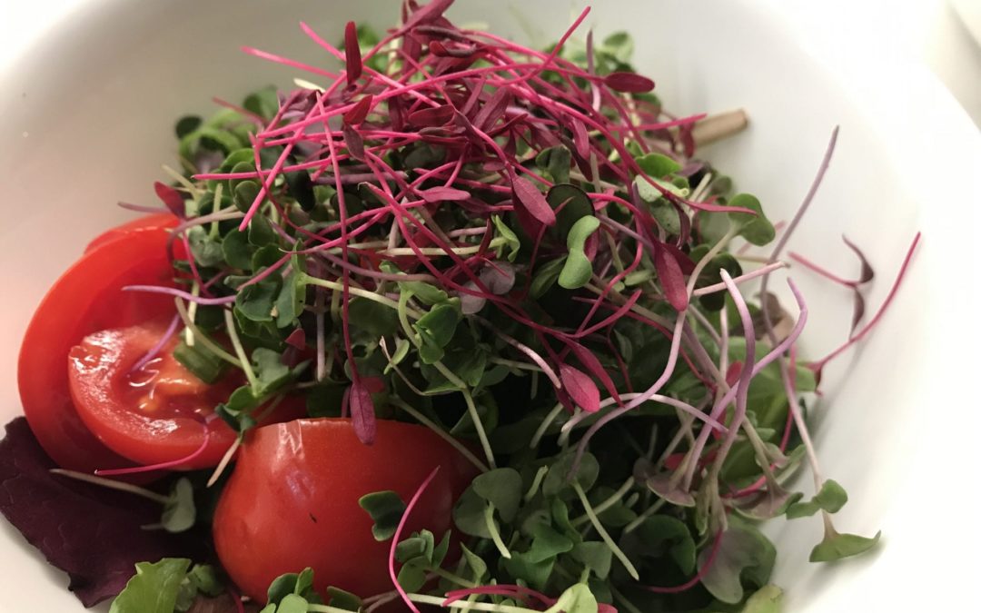 Microgreens A Must for Every Kitchen