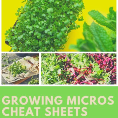 Microgreen growing cheat sheets