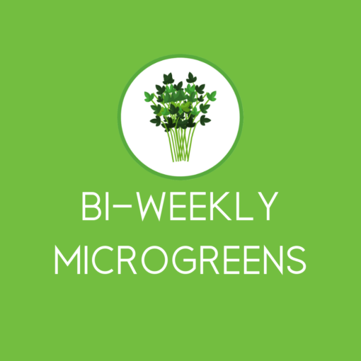 2x a Month Microgreen Subscription