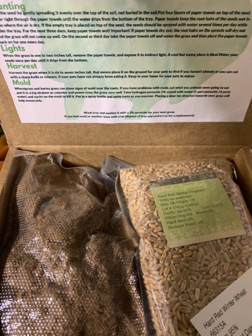 GIY: Wheatgrass kits