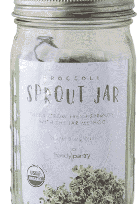 Broccoli Sprout Jar