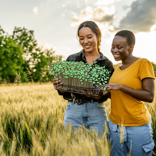 Microgreens: Health Benefits, Diet Ideas, and Growing Guide